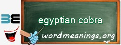 WordMeaning blackboard for egyptian cobra